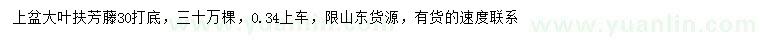 求購(gòu)30公分以上大葉扶芳藤
