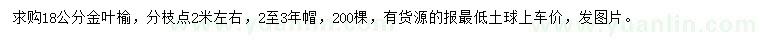 求購18公分金葉榆