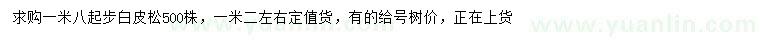求購1.8米以上白皮松
