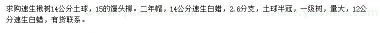 求購速生楸樹、饅頭柳、速生白蠟