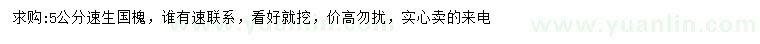 求購5公分速生國槐