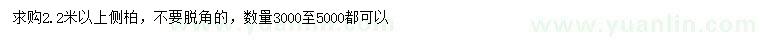 求購2.2米以上側(cè)柏
