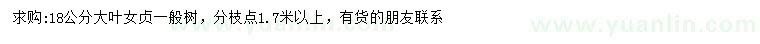 求購18公分大葉女貞