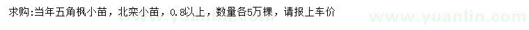 求購0.8公分以上五角楓小苗、北欒小苗