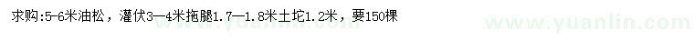 求購5-6米油松