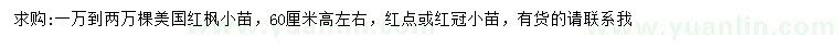 求購高60公分美國紅楓小苗