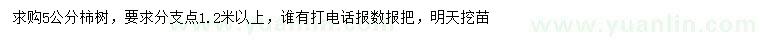 求購(gòu)5公分柿樹(shù)