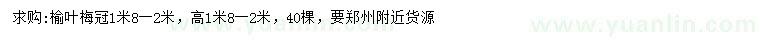 求購高1.8-2米榆葉梅