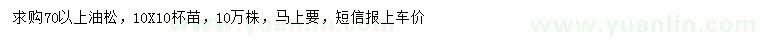 求購70公分以上油松