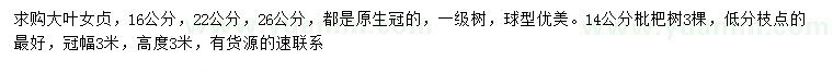 求購16、22、26公分大葉女貞、14公分枇杷樹