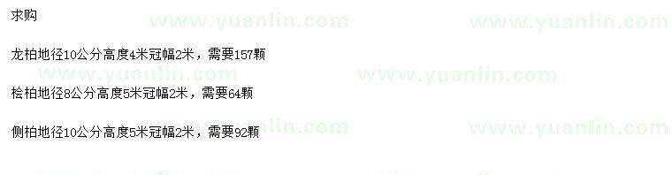 求購龍柏、檜柏、側(cè)柏