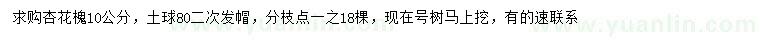 求購10公分杏花槐