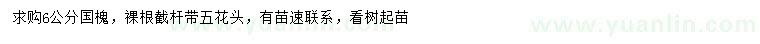 求購(gòu)6公分國(guó)槐