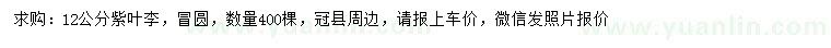 求購(gòu)12公分紫葉李