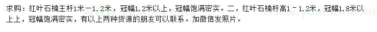 求購1-1.2米紅葉石楠