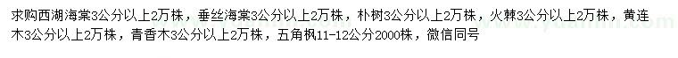 求購西湖海棠、垂絲海棠、樸樹等