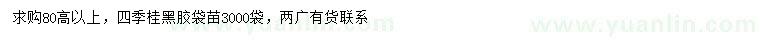 求購(gòu)高80公分以上四季桂
