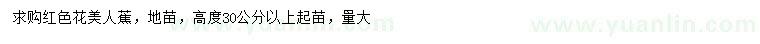 求購高30公分以上紅色花美人蕉