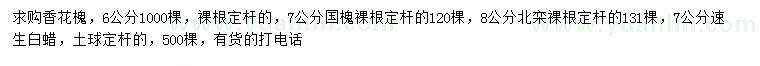 求購香花槐、欒樹、北欒等