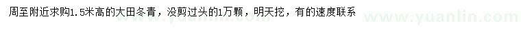 求購高1.5米冬青