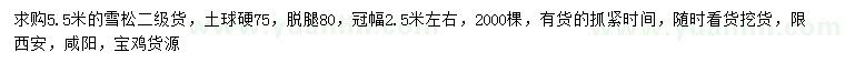 求購5.5米雪松