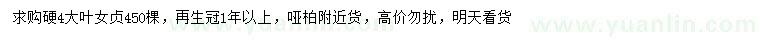 求購4公分大葉女貞