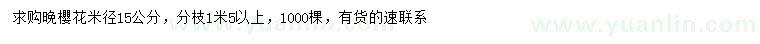 求購米徑15公分晚櫻