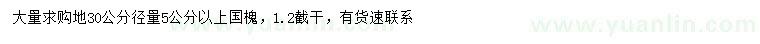 求購30量5公分以上國槐