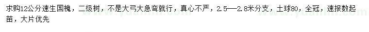 求購12公分速生國槐