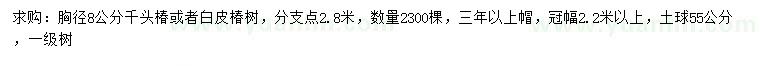 求購(gòu)胸徑8公分千頭椿、白皮椿