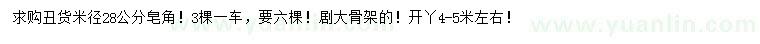 求購米徑28公分皂角