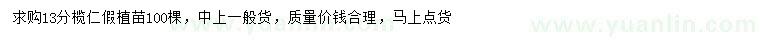 求購13公分欖仁