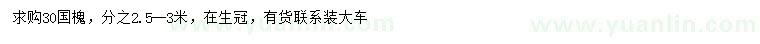 求購30公分國槐
