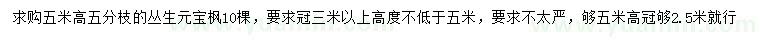 求購高5米叢生元寶楓
