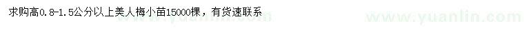 求購高0.8-1.5公分以上美人梅小苗