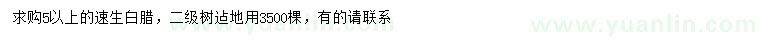 求購5公分以上速生白蠟