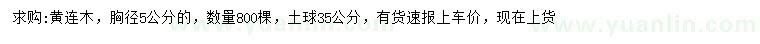 求購(gòu)5公分黃連木