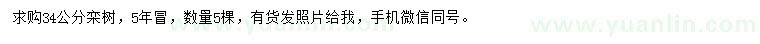 求購(gòu)34公分欒樹
