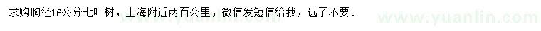 求購胸徑16公分七葉樹