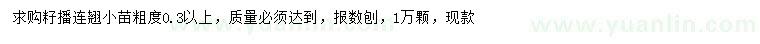 求購0.3公分以上連翹小苗