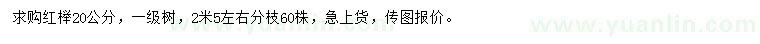 求購20公分紅櫸