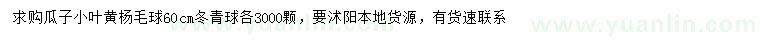 求購60公分瓜子小葉黃楊球、冬青球