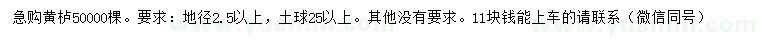 求購(gòu)地徑2.5公分以上黃櫨