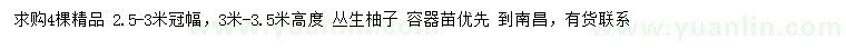 求購高3-3.5米叢生柚子