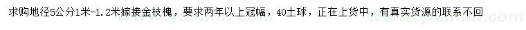 求購地徑5公金枝槐
