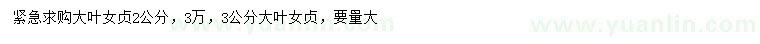 求購(gòu)2、3公分大葉女貞