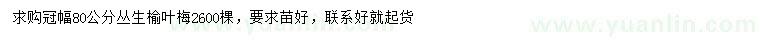 求購冠幅80公分叢生榆葉梅