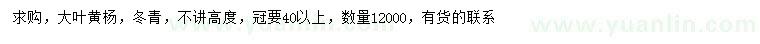 求購冠幅40公分以上大葉黃楊、冬青