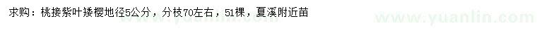 求購地徑5公分紫葉矮櫻