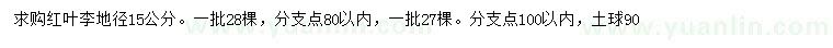 求購地徑15公分紅葉李